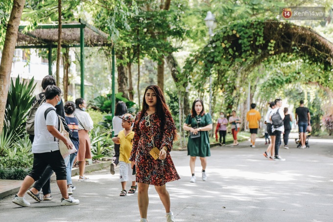 Người Sài Gòn góp cả chục tấn rau củ cùng hàng tỷ đồng, cứu đói bầy thú ở Thảo Cầm Viên trong mùa dịch Covid-19 - Ảnh 1. Người Sài Gòn góp cả chục tấn rau củ cùng hàng tỷ đồng, cứu đói bầy thú ở Thảo Cầm Viên trong mùa dịch Covid-19 - Ảnh 1.