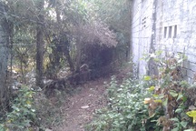 Doanh nghiệp chiếm đường công cộng: Chủ tịch huyện chỉ đạo trả đường!