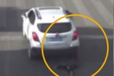 Rơi khỏi xe đang chạy, em bé may mắn thoát chết