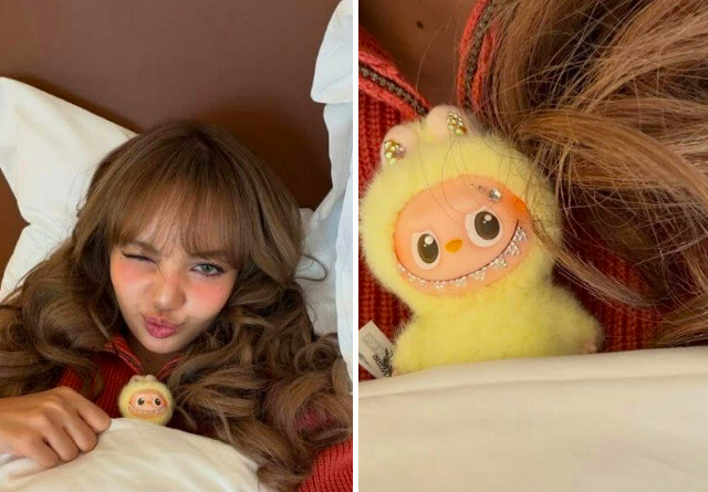 Labubu giá 5,5 tỷ đồng của Lisa và thú chơi phụ kiện sang chảnh - 1