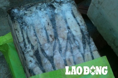 Truy tìm nguồn gốc mực giá bèo trong đường dây tẩy trắng, tiêu thụ mực bẩn