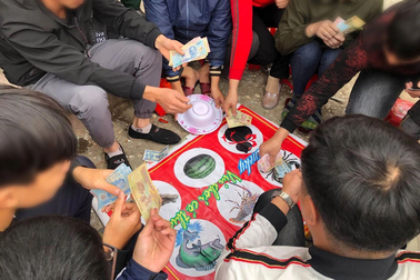 Ngồi xem đánh bạc ngày Tết có bị xử lý không?