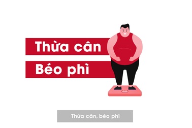 Số liệu về thừa cân tại Việt Nam