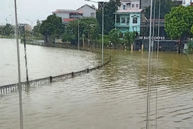 Nhiều đô thị ngập nặng sau bão, hàng trăm cây xanh gãy đổ