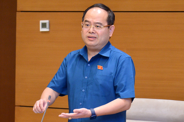 Nhắc vụ Lê Văn Luyện, đại biểu băn khoăn ranh giới chính sách nhân đạo