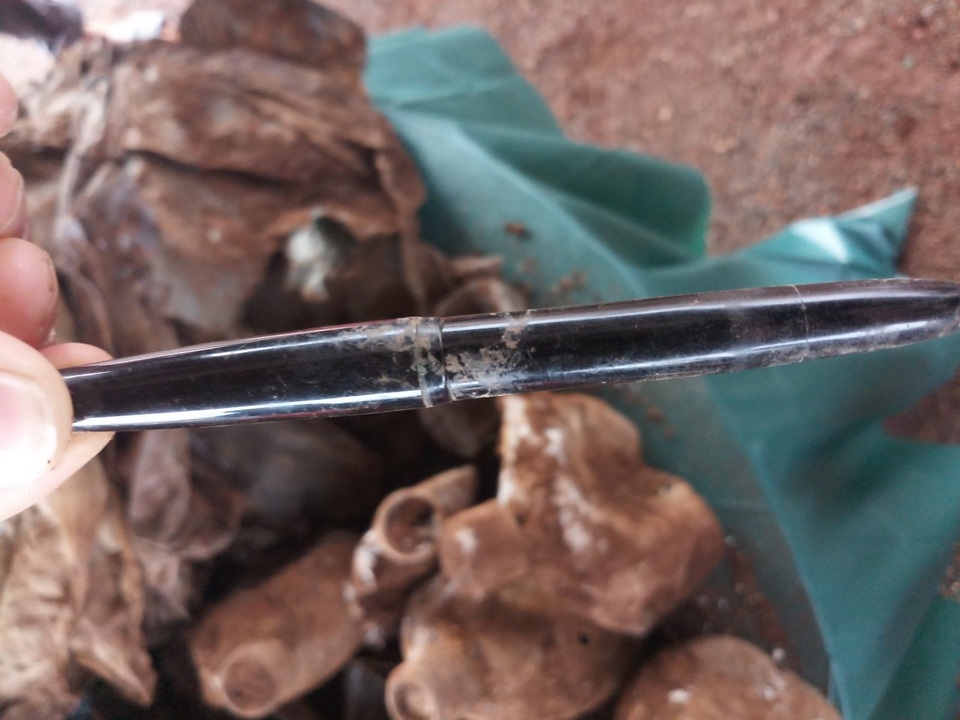 Phát hiện mộ chung nhiều hài cốt liệt sĩ cùng di vật “Giải phóng miền Nam” - 2