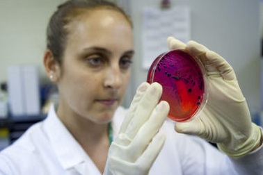 Vi khuẩn có thể làm giảm GDP toàn cầu