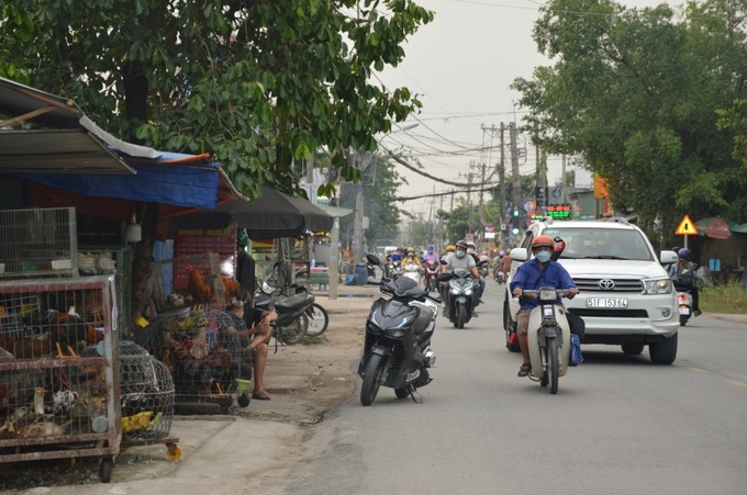 Theo các chuyên gia đô thị, trong giai đoạn tới TP nên chọn hướng phát triển lên hướng Bắc-Tây Bắc (Củ Chi, Hóc Môn), là một trong những hướng phát triển chính của TP thay vì chỉ là hướng phụ như hiện nay.