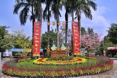 Có gì ở khu du lịch rừng độc đáo nhất Việt Nam Tết này?