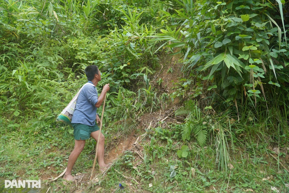 Cuộc tháo chạy kinh hoàng lên đỉnh núi của hơn 100 dân bản Có Hạ - 4