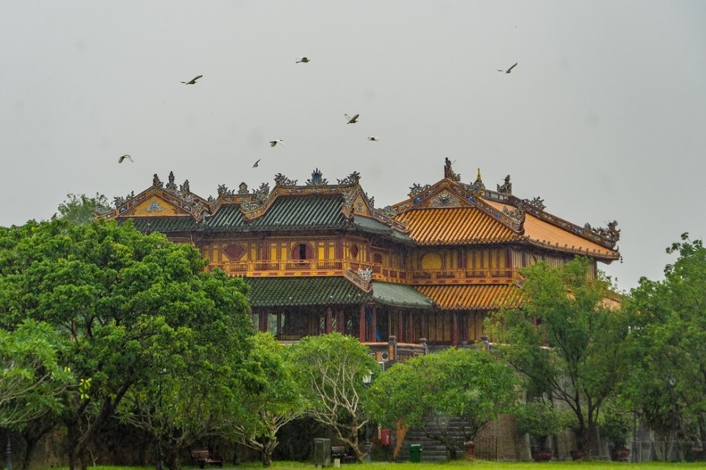 Kỳ thú những đàn chim trời di trú ở Kinh thành Huế - 2 Kỳ thú những đàn chim trời di trú ở Kinh thành Huế - 2