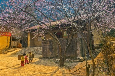 Bật mí top 10 điểm du lịch hot nhất ở Việt Nam vào dịp Tết Nguyên đán 2017