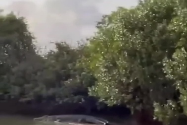 Kinh ngạc với kích thước khổng lồ của “quái vật nước mặn”