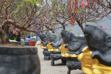 Độc đáo “chuột đá cõng đào bonsai” giá bạc triệu hút khách dịp tết