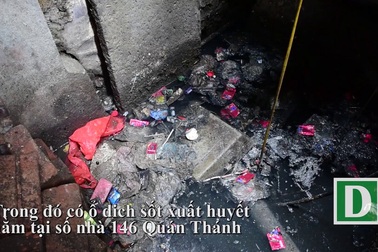 Cận cảnh ô nhiễm kinh hoàng tại biệt thự cổ 146 Quán Thánh.