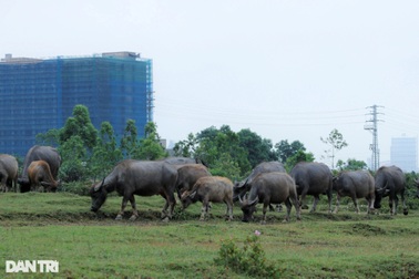 Dự án hơn 91 triệu USD dang dở sau 12 năm triển khai