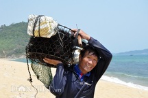 Thợ săn nhum vào mùa kiếm nửa triệu đồng mỗi ngày