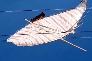 Đau đầu những “cánh diều vô chủ” treo lơ lửng trên đường dây điện