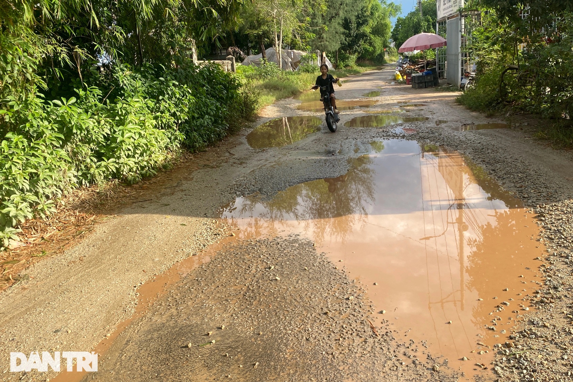 Người dân đánh vật trên 3km tỉnh lộ chằng chịt ổ gà ở Thừa Thiên Huế - 8