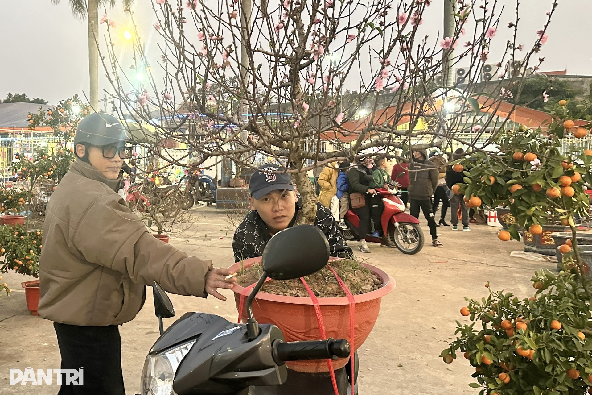 Không khí chiều cuối năm - 18 Không khí chiều cuối năm - 18