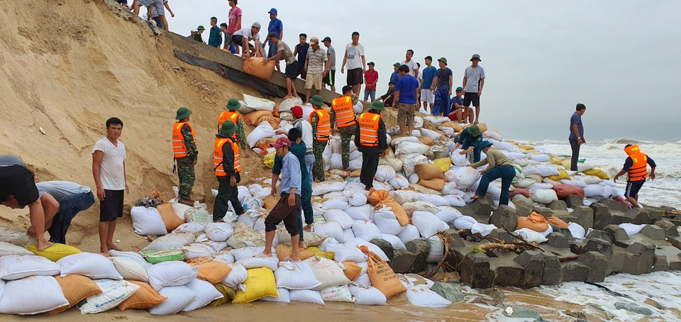 Khẩn cấp gia cố hơn 4km đê biển hư hỏng nặng - 1 Khẩn cấp gia cố hơn 4km đê biển hư hỏng nặng - 1