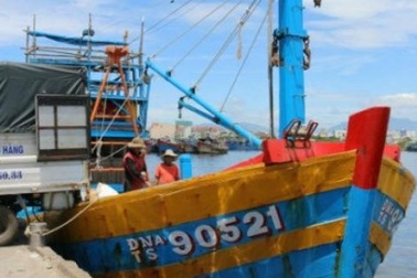 Cảng cá lớn nhất miền Trung: Giá cá rớt thê thảm sau vụ Formosa