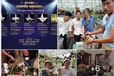 Trái đắng Phi điệp đột biến: Trăm tỷ chảy về Trung Quốc?