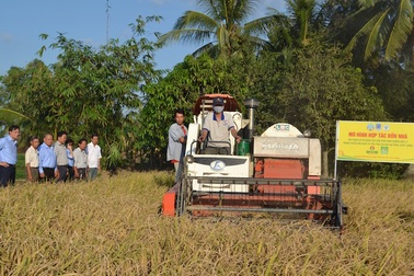 Đạm Cà Mau - Đồng hành cùng nông dân Việt Nam