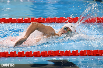 Bơi Việt Nam tạo cú sốc Đông Nam Á, huyền thoại Singapore tháo huy chương