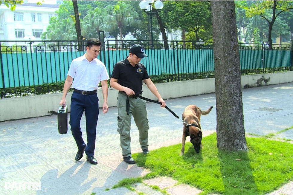Thủ tướng Hà Lan đạp xe dạo phố và chuyện hậu trường của sĩ quan cảnh vệ - 3 Thủ tướng Hà Lan đạp xe dạo phố và chuyện hậu trường của sĩ quan cảnh vệ - 3