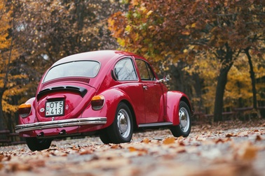 "Con bọ" Beetle - 80 năm một huyền thoại