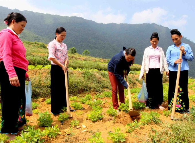 Lai Châu: Tỷ lệ hộ nghèo giảm trung bình 5,07%/năm - Ảnh 1. Lai Châu: Tỷ lệ hộ nghèo giảm trung bình 5,07%/năm - Ảnh 1.