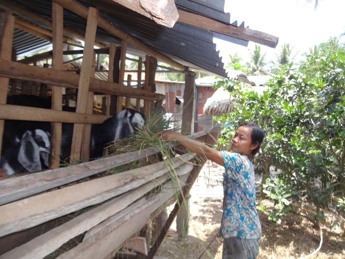 Nhiều chính sách hỗ trợ, giải pháp hiệu quả tạo “đòn bẩy” giảm nghèo bền vững tại Bến Tre - Ảnh 3.