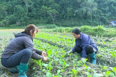 Đa dạng mô hình sinh kế giúp người dân thoát nghèo