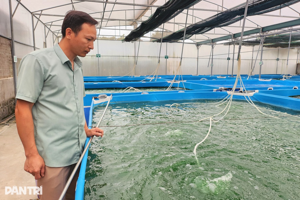 Vợ chồng giáo viên bỏ nghề về làm giàu từ loại không phải cho ăn gì - 4 Vợ chồng giáo viên bỏ nghề về làm giàu từ loại không phải cho ăn gì - 4