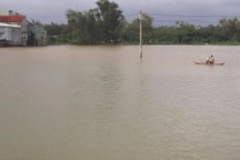 Mưa lớn giữa mùa xuân ở Bình Định, dân chèo thuyền về nhà