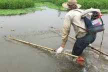 Chích điện bắt cá, người đàn ông tử vong