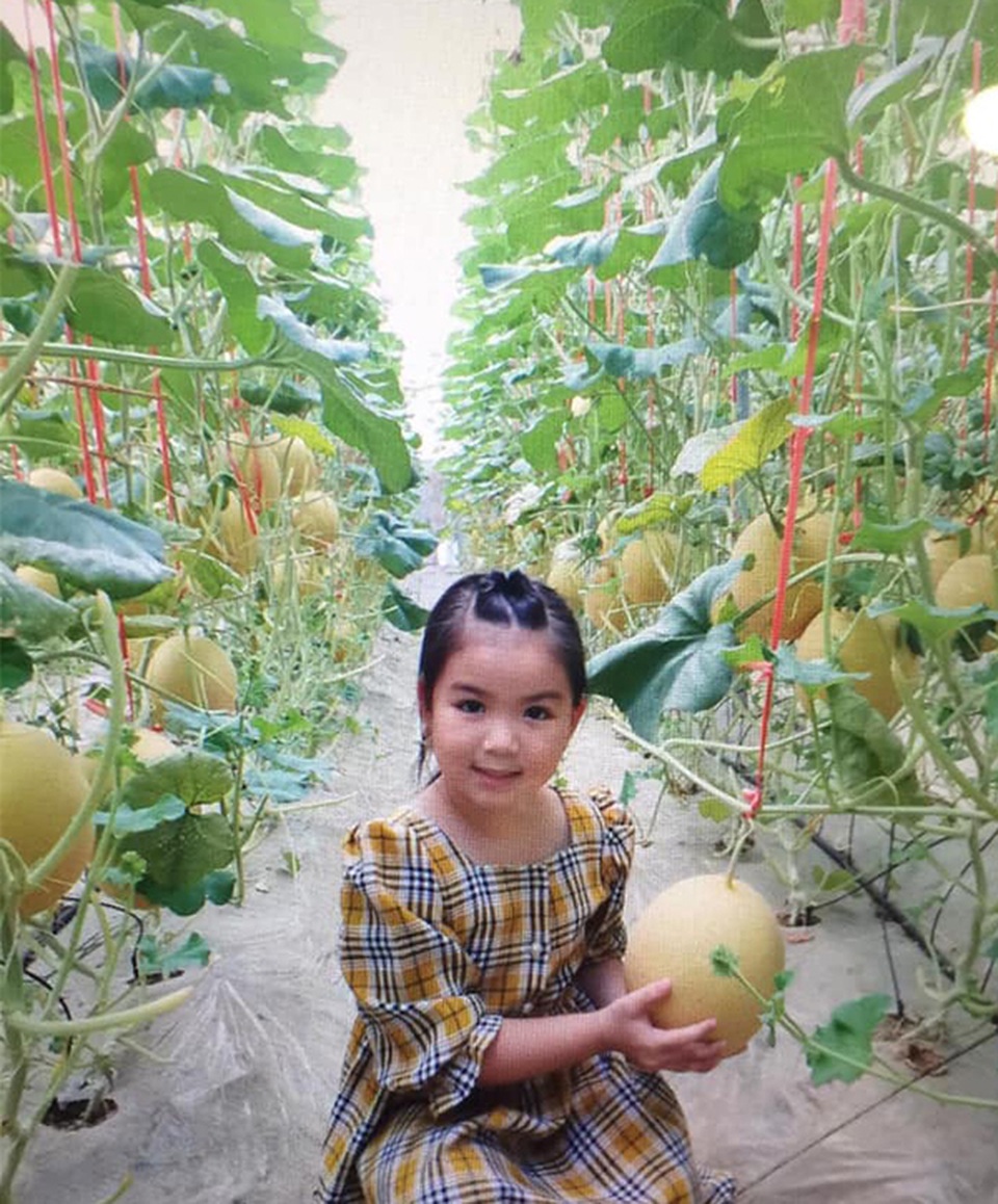 Hà Tĩnh: Ngỡ ngàng vườn dưa lưới công nghệ cao ngay giữa lòng nội đô - 5 Hà Tĩnh: Ngỡ ngàng vườn dưa lưới công nghệ cao ngay giữa lòng nội đô - 5