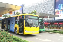 TPHCM: Ưu tiên quảng cáo hàng Việt Nam trên xe buýt