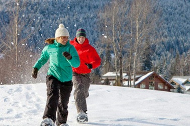 Hoa tình yêu trên những bông tuyết