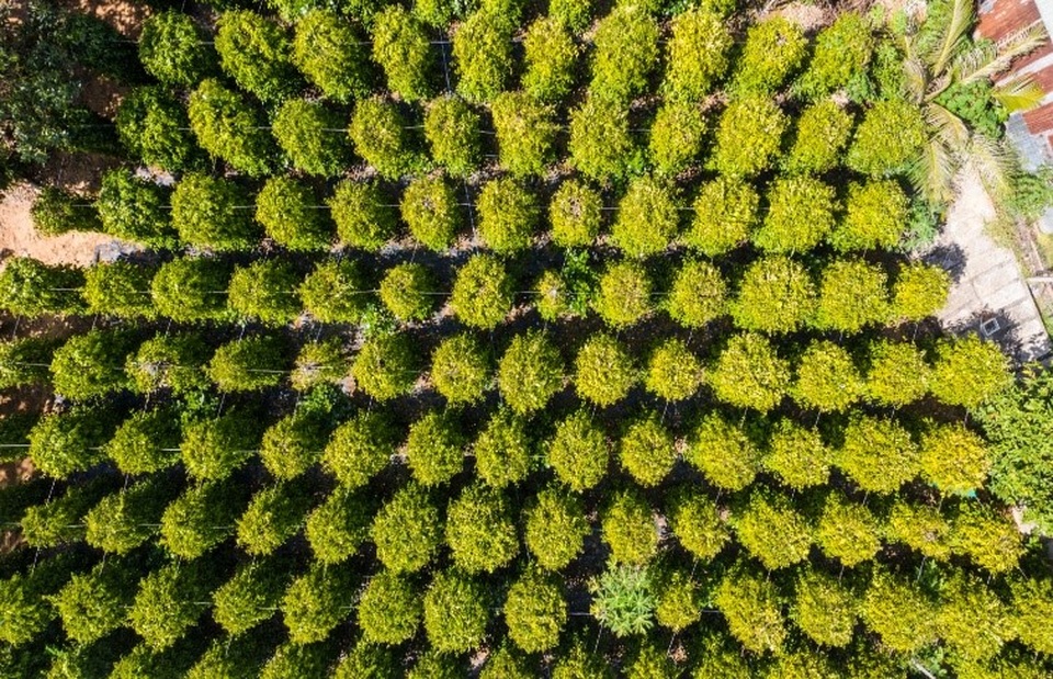 5 trải nghiệm ngoạn mục ngỡ tưởng ở Jeju tại Bắc đảo Phú Quốc - 7 5 trải nghiệm ngoạn mục ngỡ tưởng ở Jeju tại Bắc đảo Phú Quốc - 7