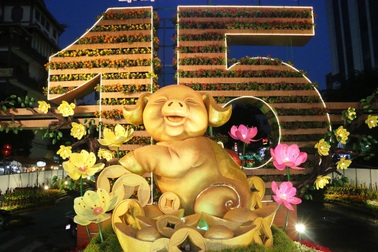 Ngắm đường hoa Cần Thơ trước ngày khai mạc