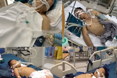 Gia đình 4 người ngộ độc nấm rừng đều đã tử vong