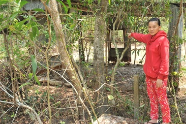 Kiên Giang: Chủ tịch huyện trả lời thất lạc hồ sơ, không biết vì sao dân mất đất?