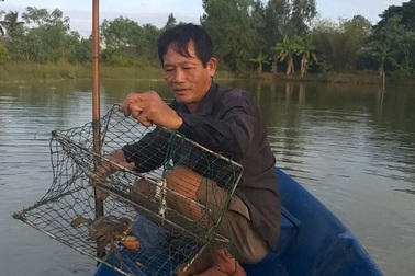 Cua biển ngon nhất Cà Mau rớt một nửa giá vì dịch corona