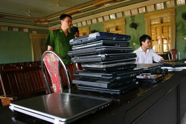 Bắt tên cướp trốn trên… ngọn cây