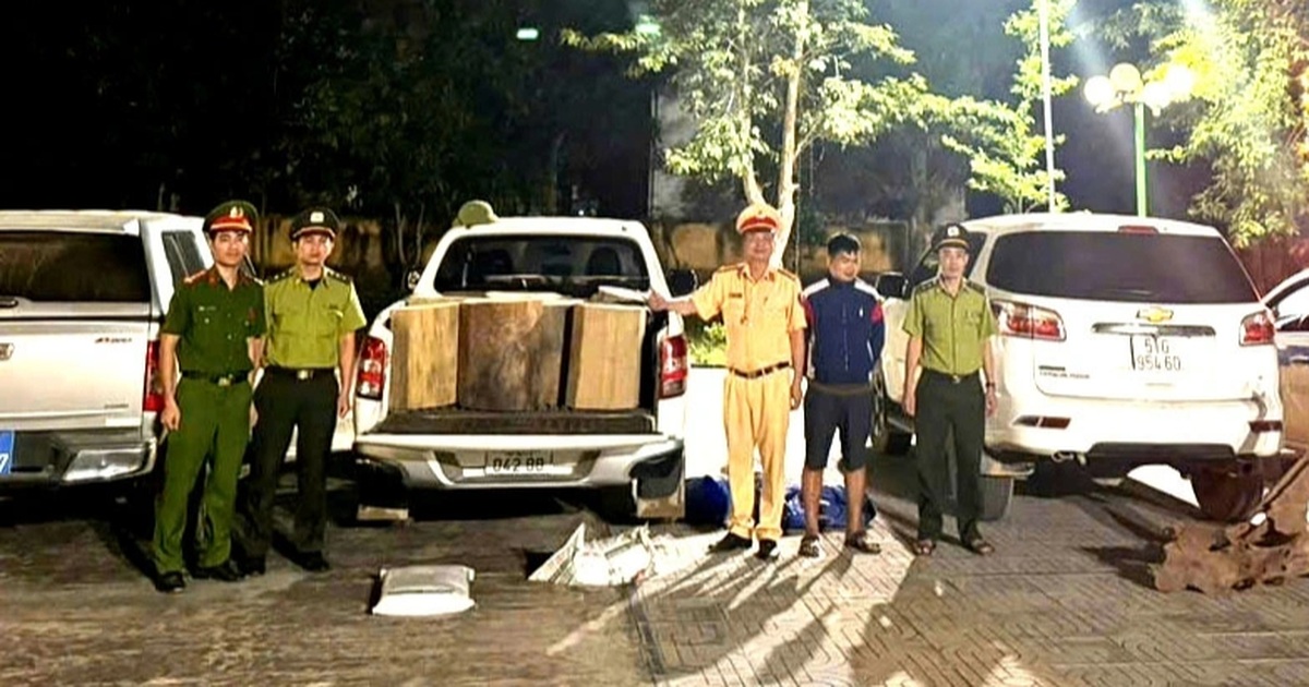 Cảnh sát tuần tra phát hiện ô tô vận chuyển gỗ rừng tự nhiên