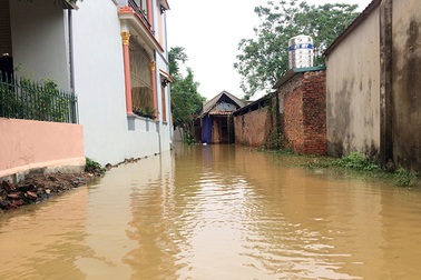 Hà Nội: Học sinh lớp 4 ngã xuống mương nước tử vong