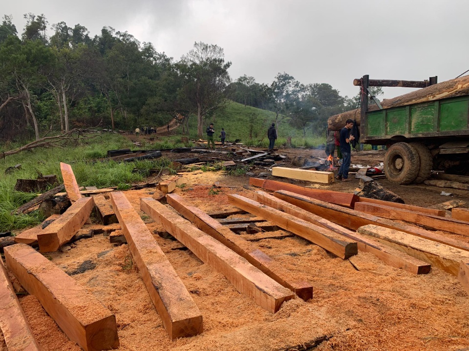 Rừng giáp ranh Đắk Lắk - Khánh Hòa bị tàn phá - 1 Rừng giáp ranh Đắk Lắk - Khánh Hòa bị tàn phá - 1