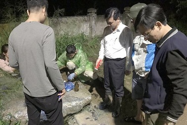 Tạm đình chỉ giám đốc công ty xả thải ra hồ có rùa Hoàn Kiếm